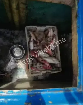 海南非法捕捞查获